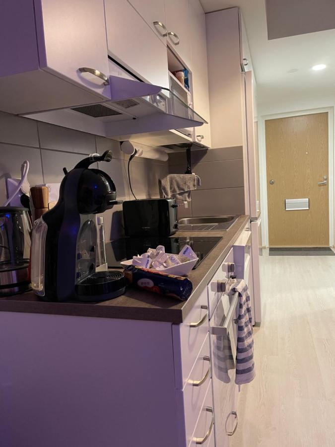 Arctic Penthouse Studio With Free Parking And High-Speed Wi-Fi Рованиеми Екстериор снимка